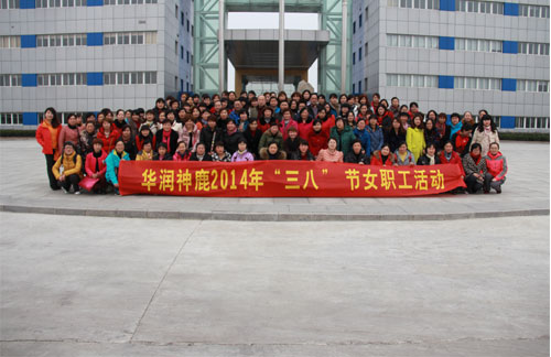 新宝GG—创造奇迹平台