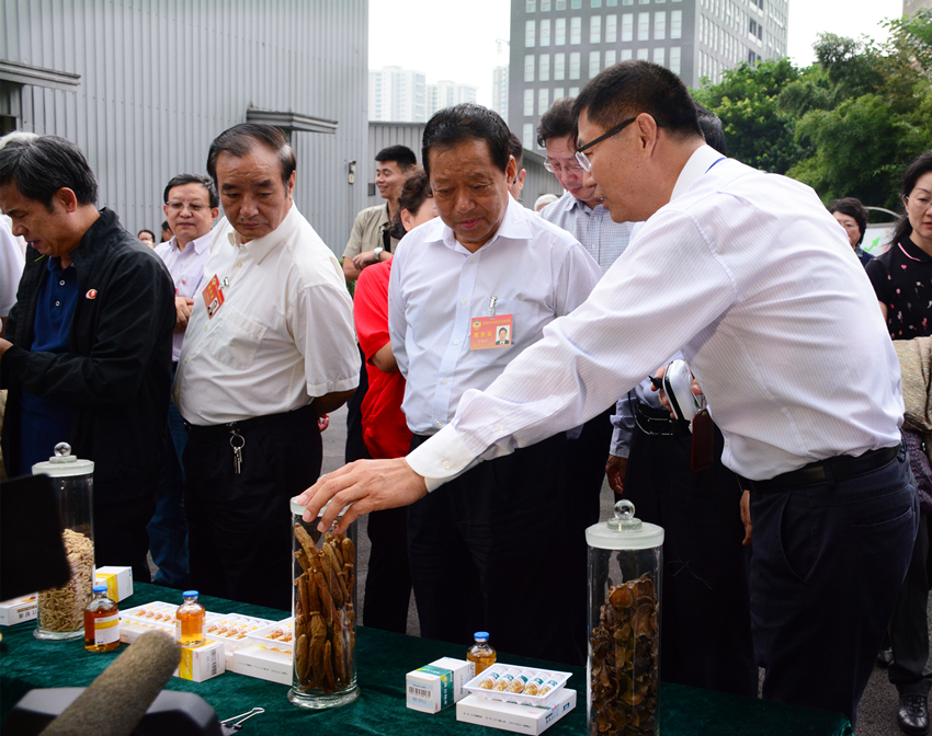 新宝GG—创造奇迹平台