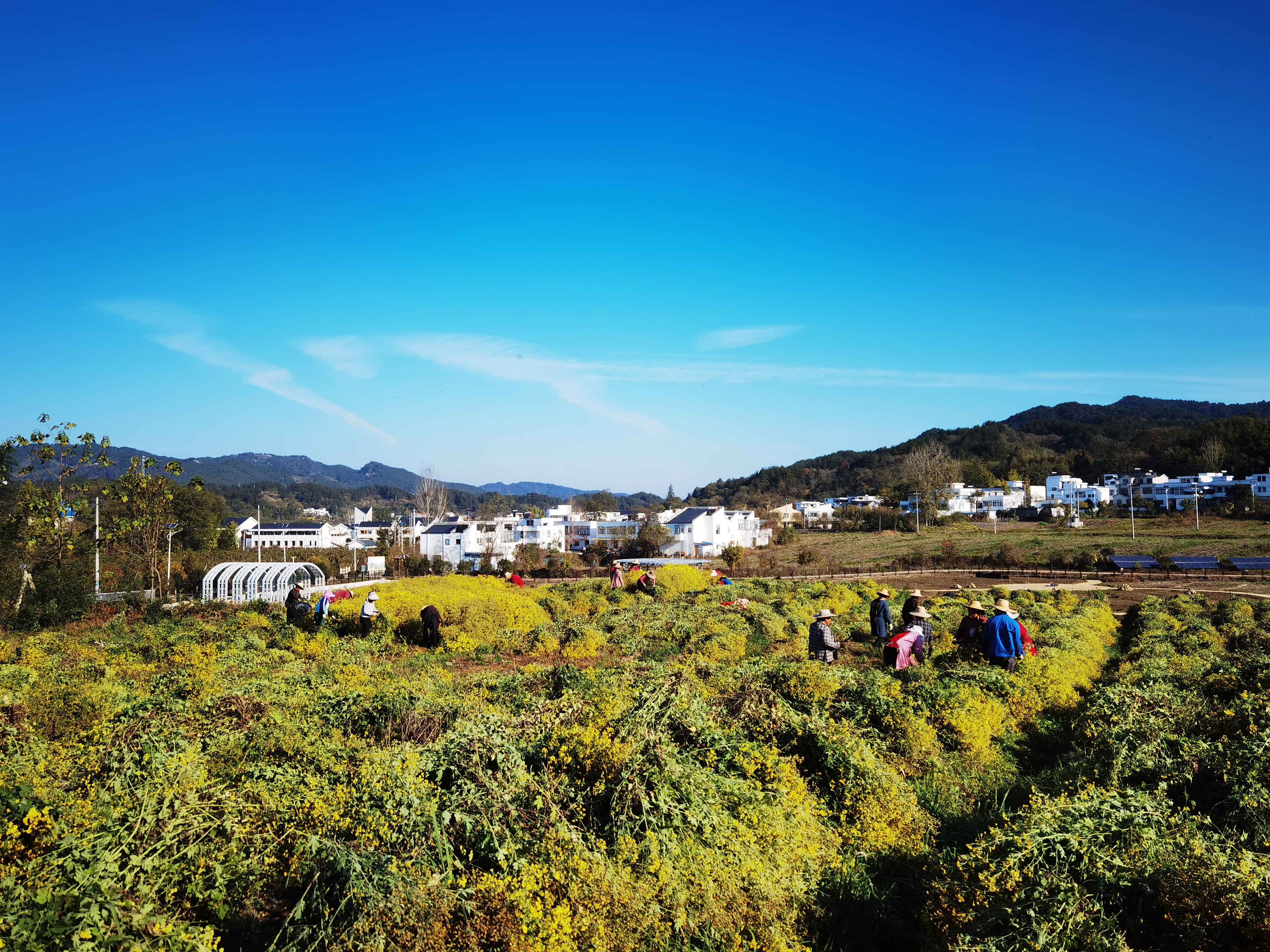 3-»ùµØÕÕÆ¬ 3-»ùµØÕÕÆ¬.jpg